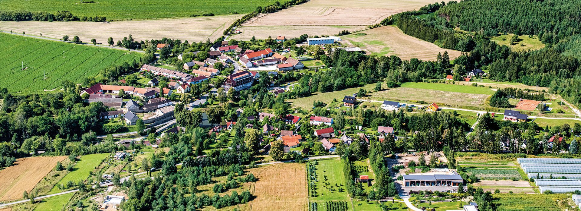 Měnič obrázků - fotografie